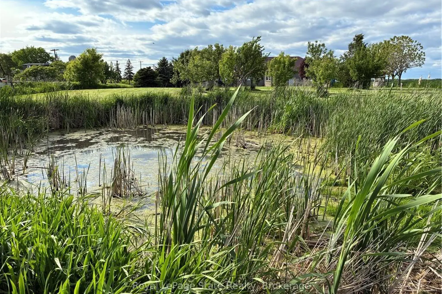 Additional image 10 of 3088 Haldimand 9 Road