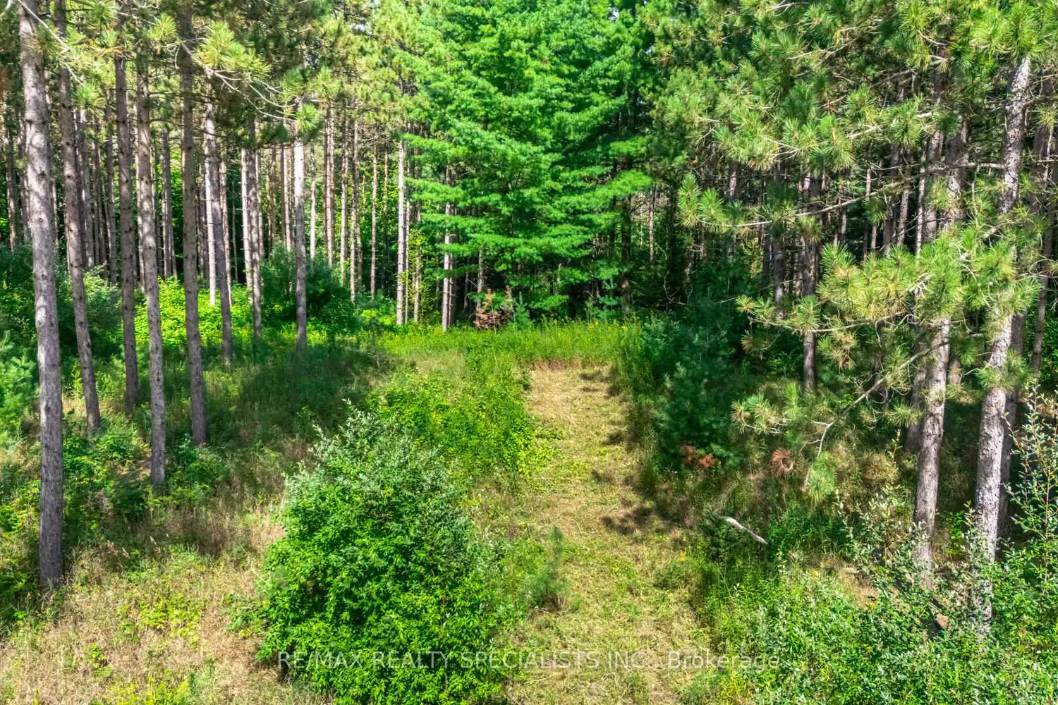 Additional image 18 of 18711 The Gore Road