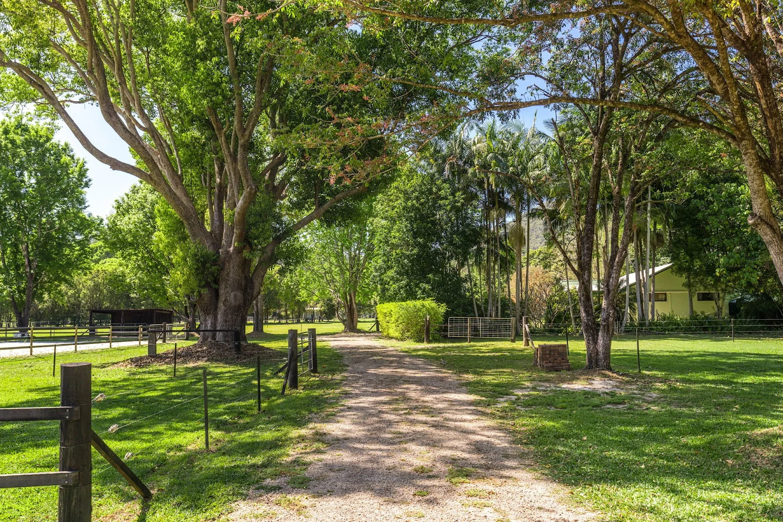 Additional image 22 of 14 Adcocks Road, Stokers Siding NSW 2484