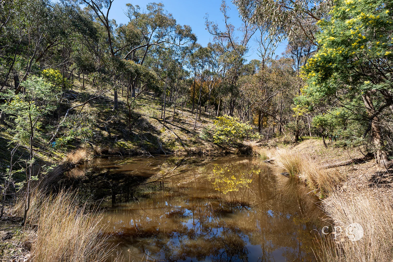 Additional image 11 of 69 Mount View Road, Chewton Bushlands VIC 3451