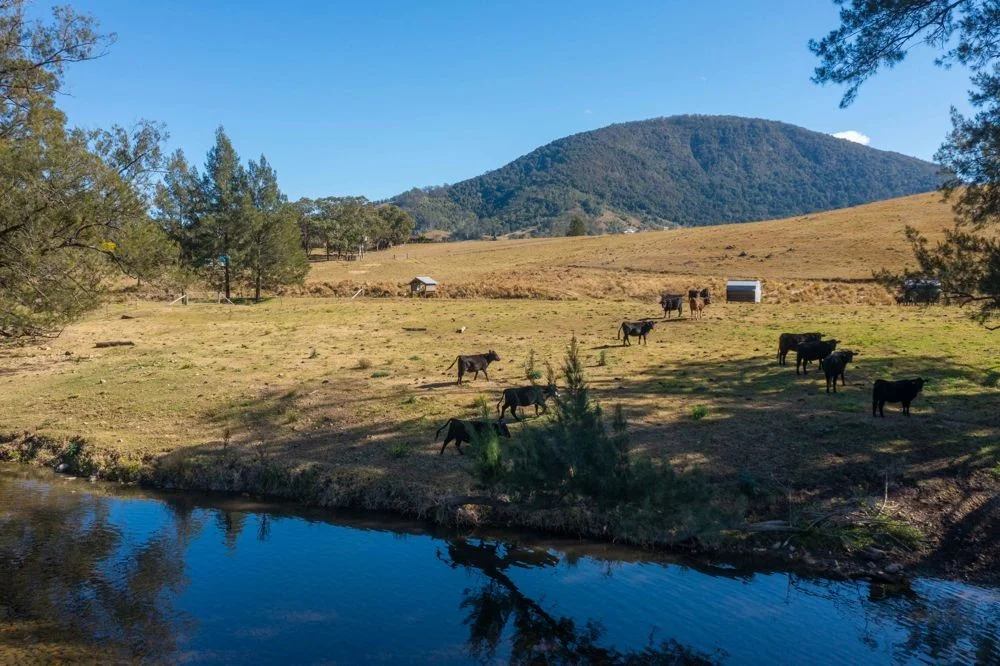 Additional image 16 of 175 Mount Seaview Road, Mount Seaview NSW 2446