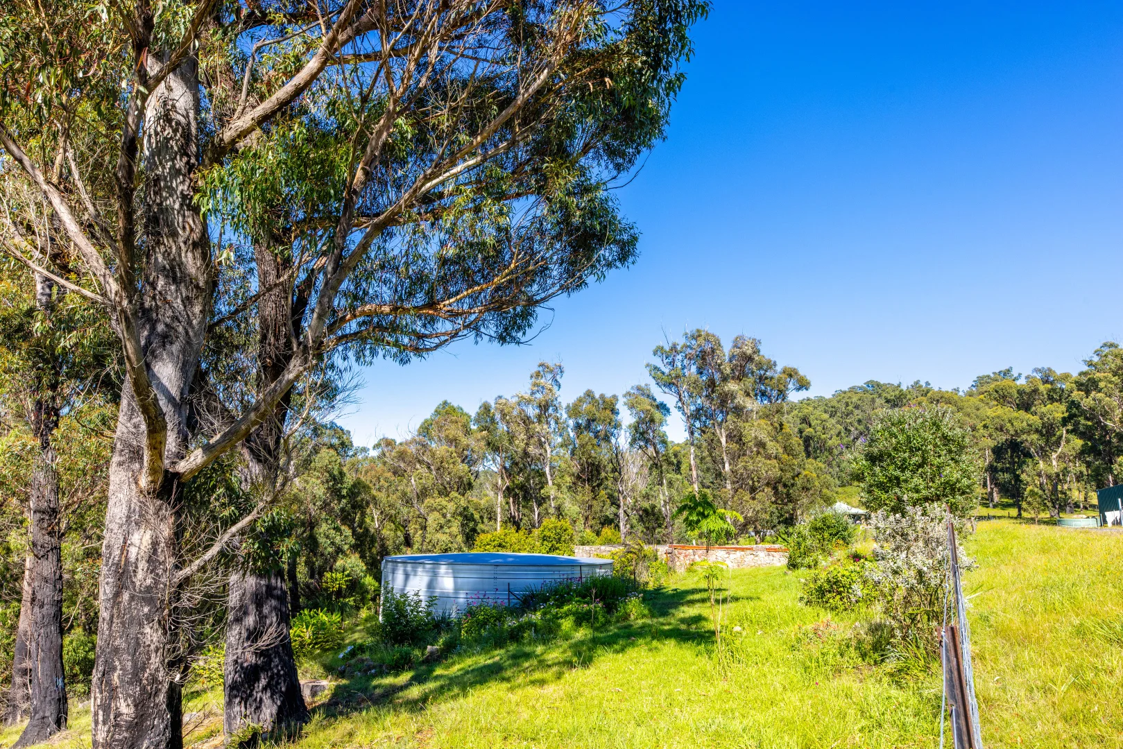 Additional image 11 of Lot 4 Braidwood Road, Sassafras NSW 2622