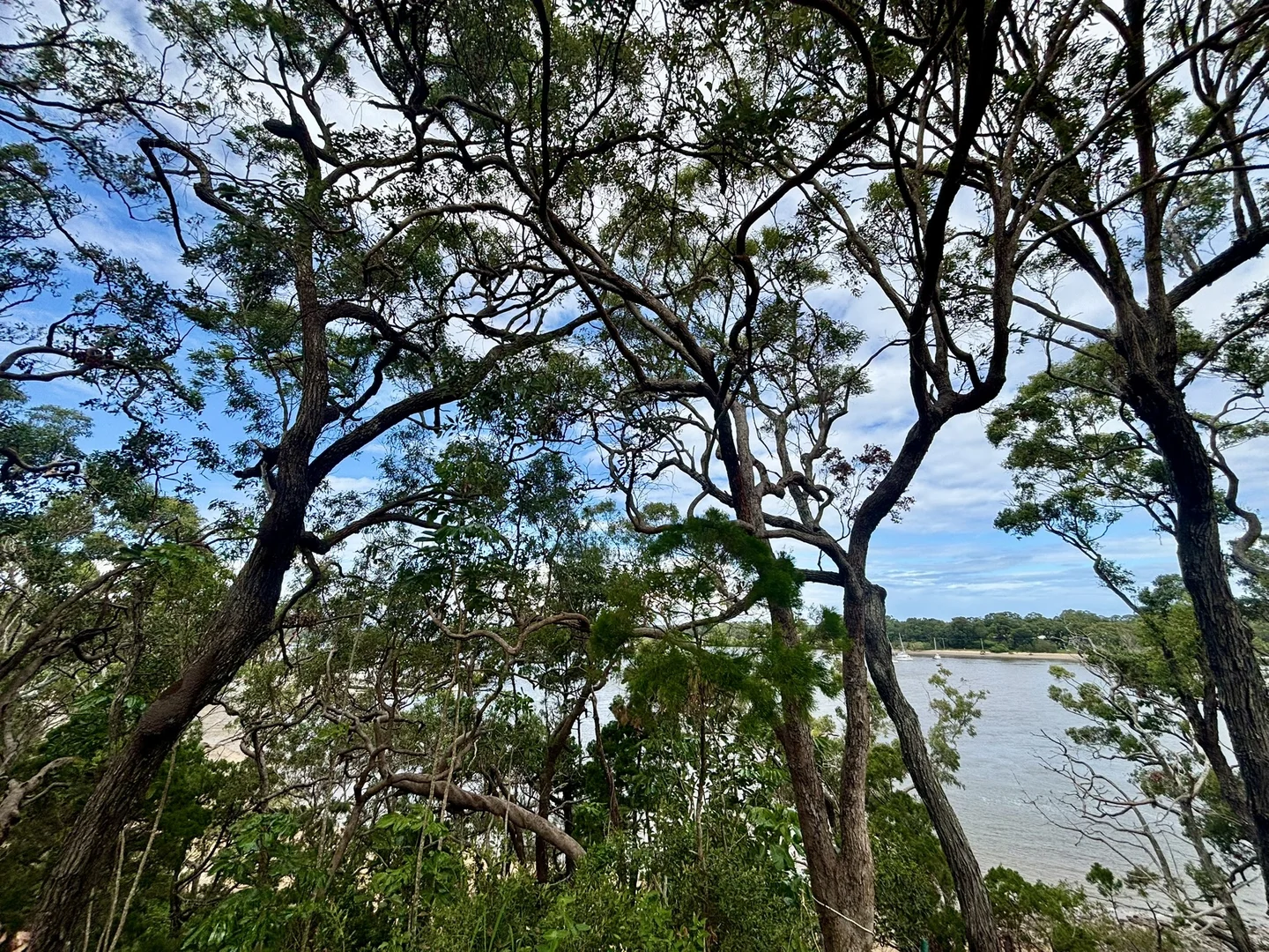 Additional image 5 of 14 High Central Road, Macleay Island QLD 4184