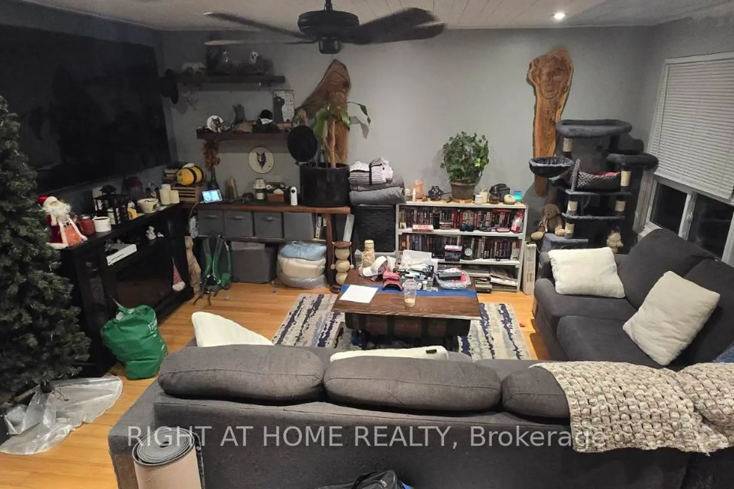 Additional image 3 of 63 Ferris Lane K6