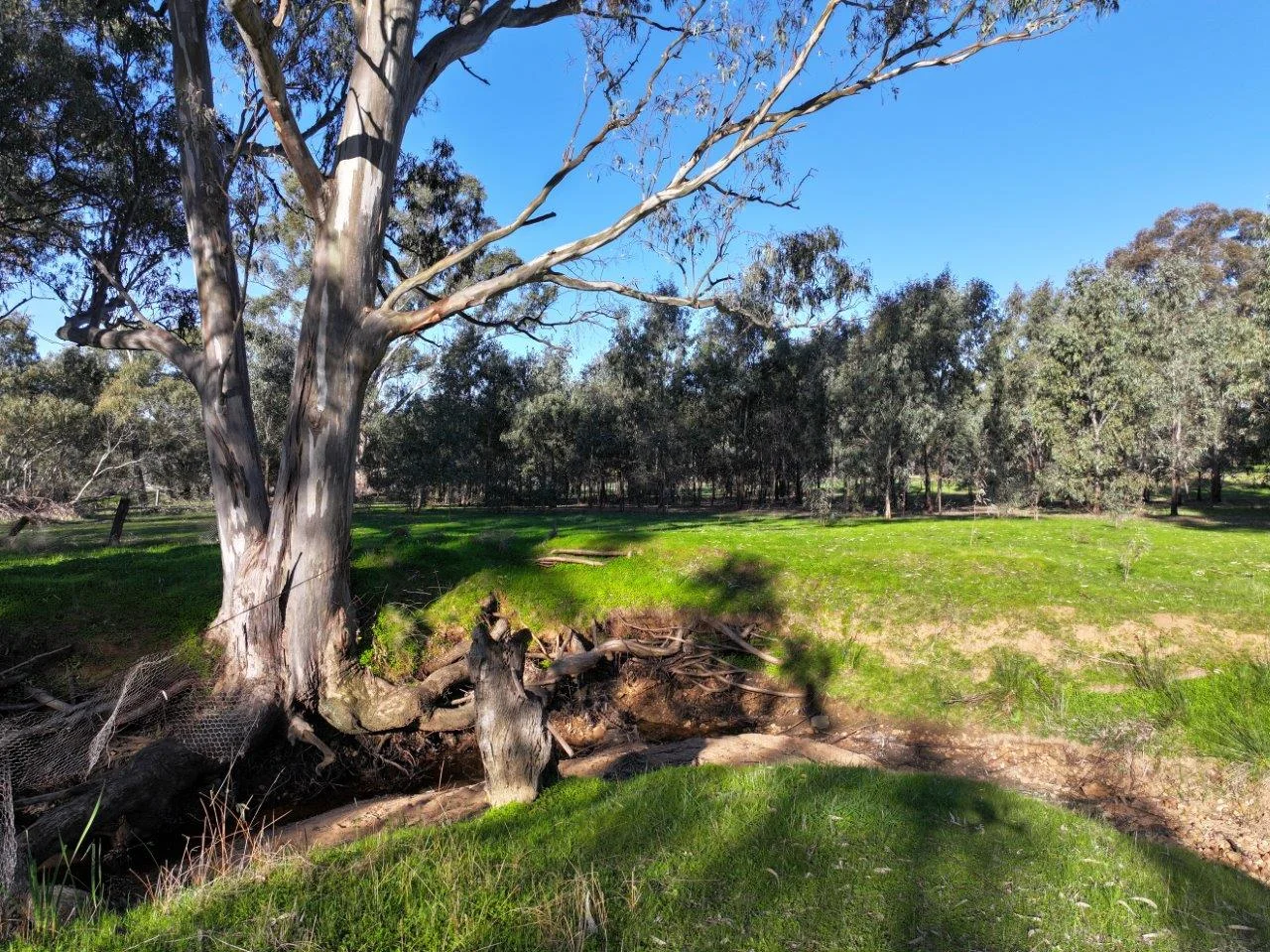 Additional image 17 of Langley Lane, McIntyre VIC 3472