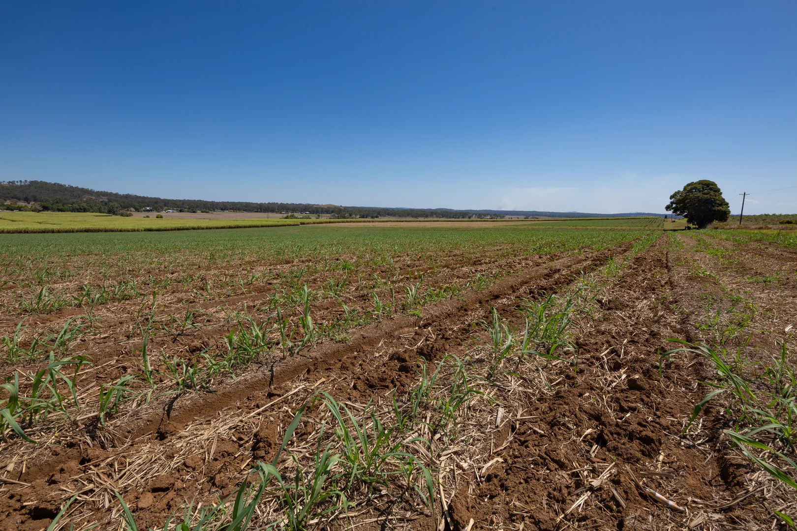 Additional image 10 of 77 Watawa Road, Tirroan QLD 4671