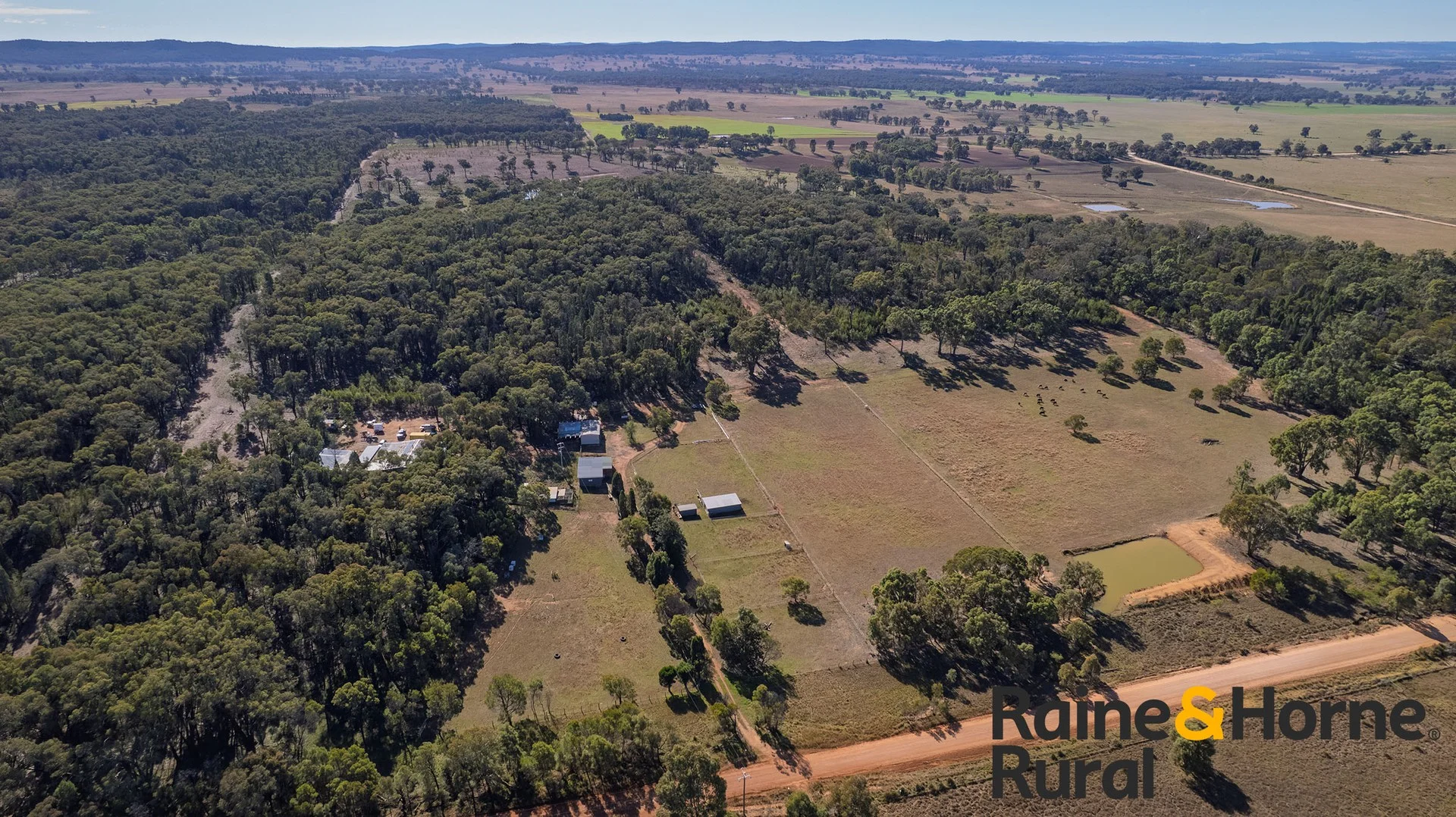502 Patrick Road, Dunedoo NSW 2844