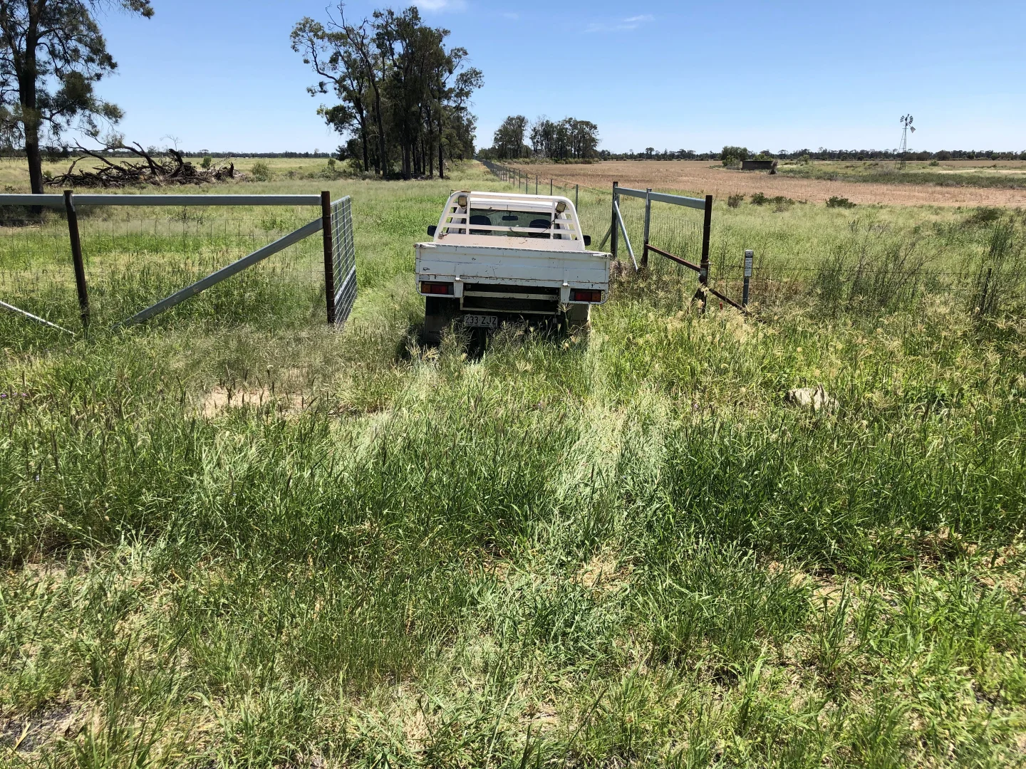 Additional image 7 of 31850 Cunningham Highway, Goondiwindi QLD 4390