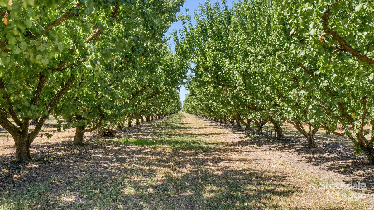 Additional image 22 of 645 New Dookie Road, Lemnos VIC 3631