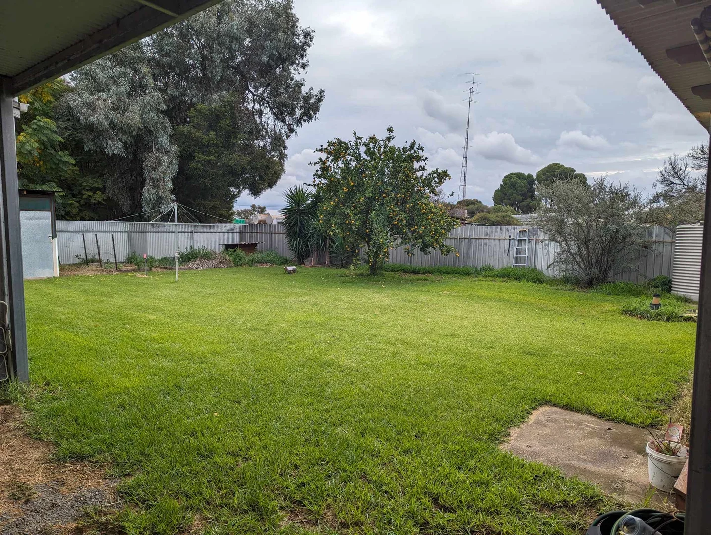 Additional image 4 of 7 Yang Yang, Maude NSW 2711