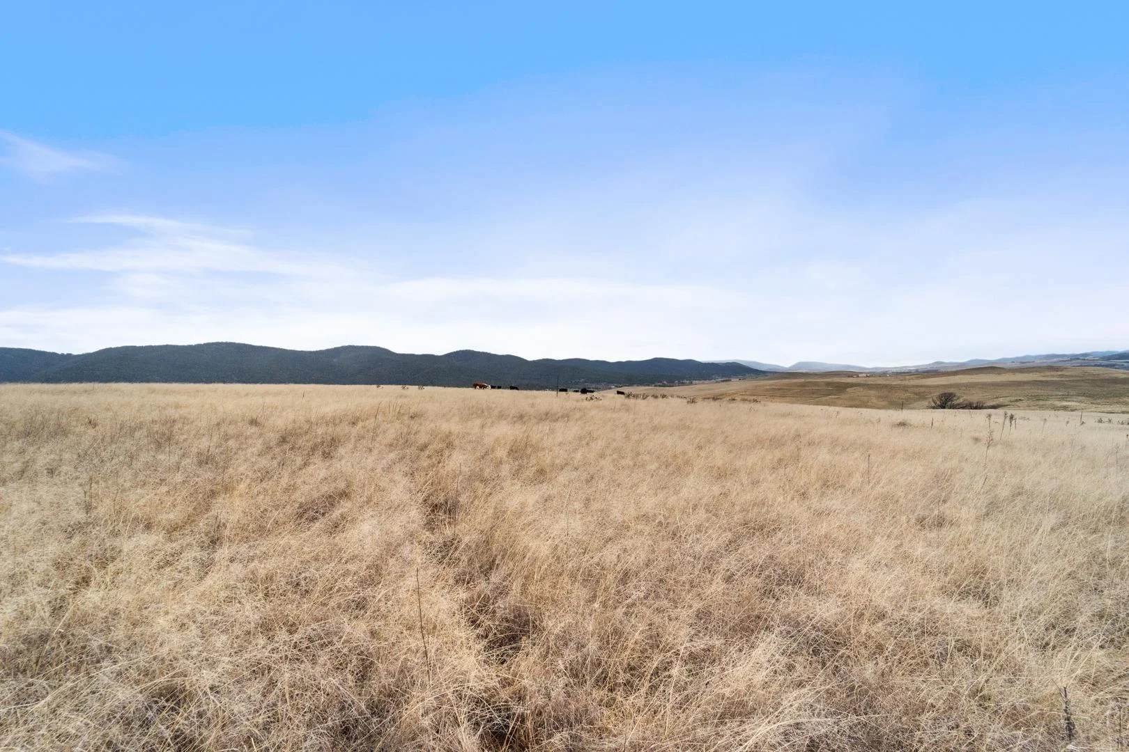 Additional image 4 of Lot 2 Monaro Highway, Bunyan NSW 2630