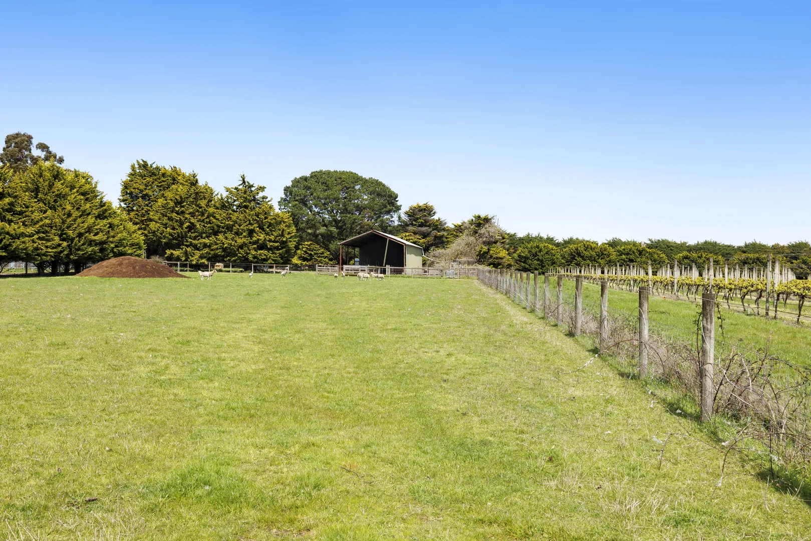 Additional image 7 of 50 Foxeys Road, Tuerong VIC 3915