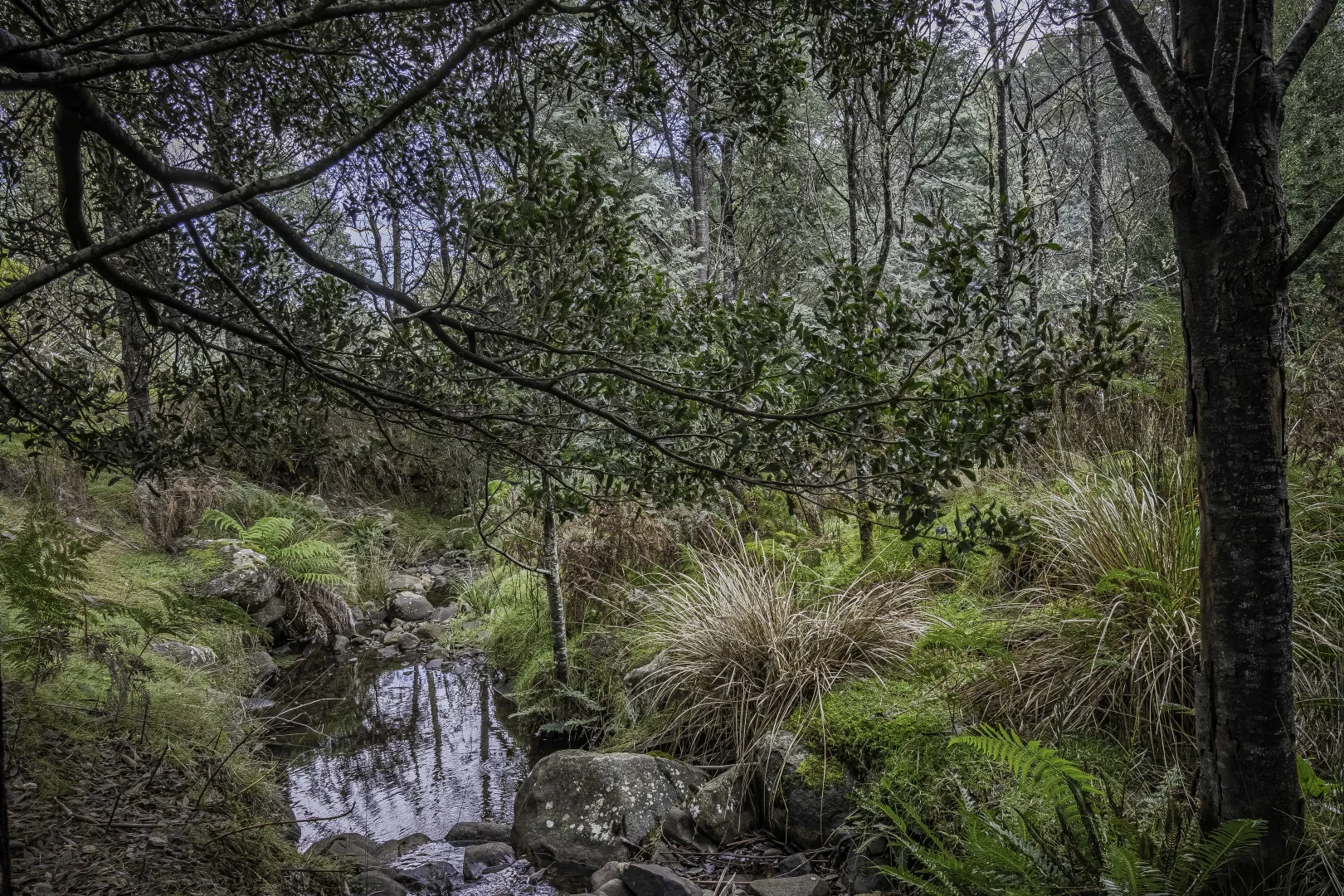 Additional image 24 of Judbury TAS 7109