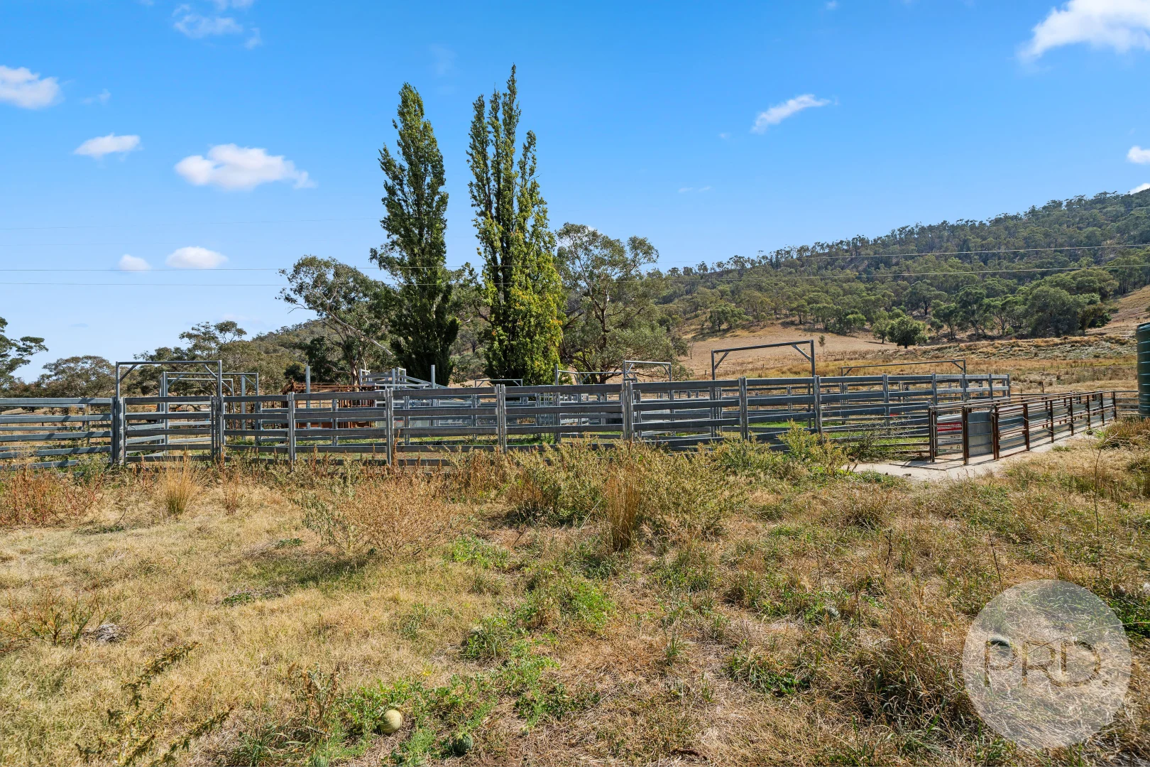 Additional image 15 of 294 Stewarts Road, Oberne Creek NSW 2650