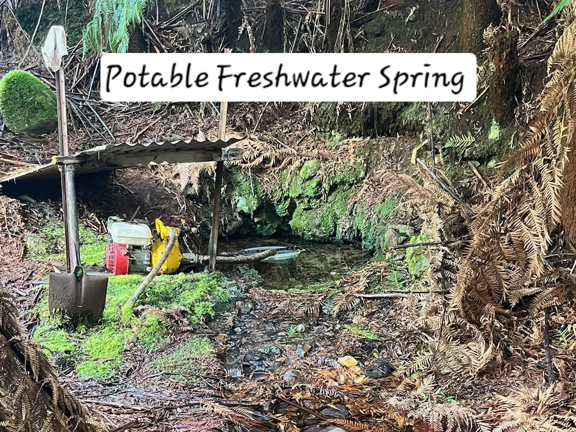 Additional image 11 of 12384 Murchison Highway, Rosebery TAS 7470