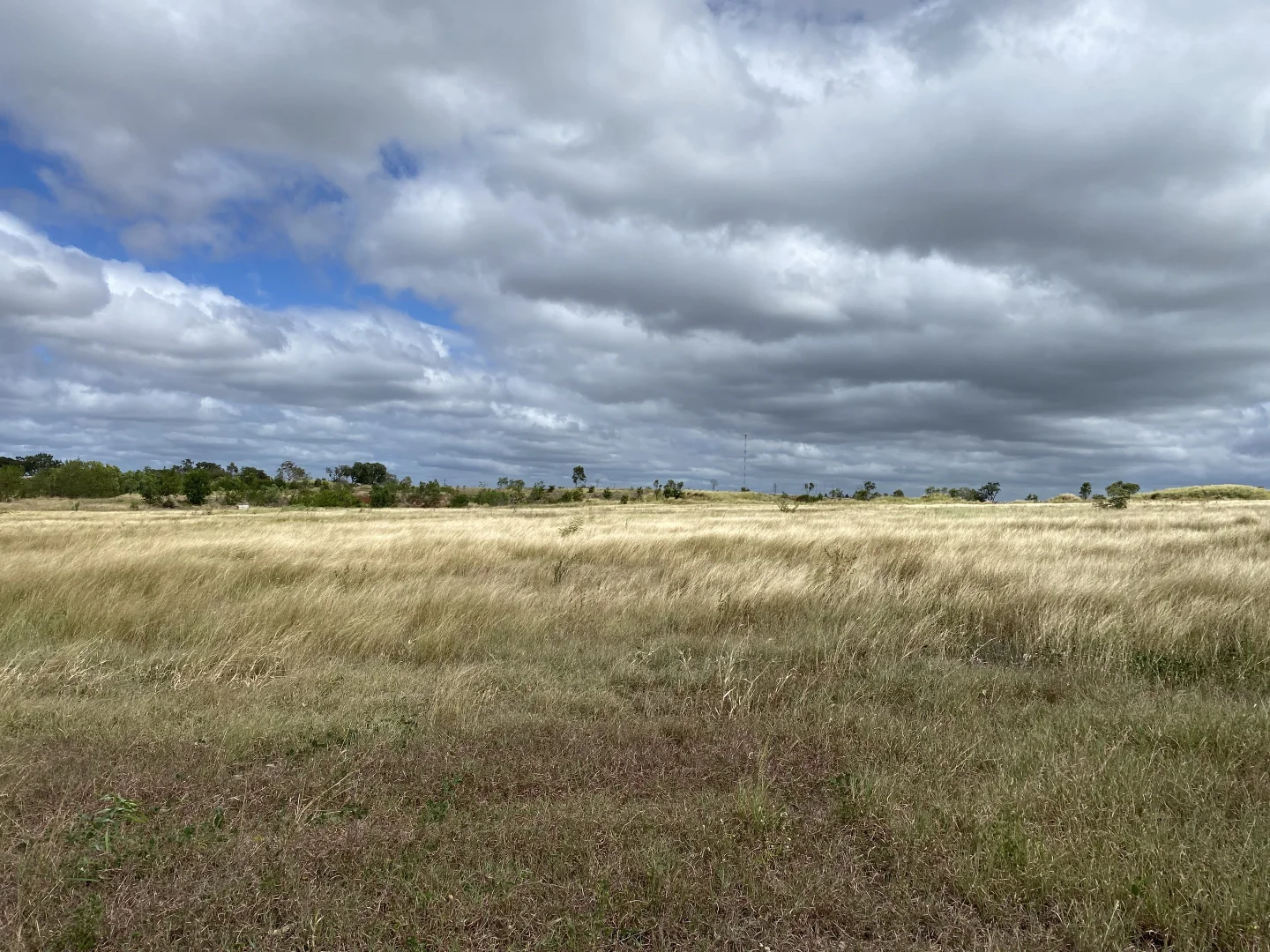 Additional image 5 of 52 Allen Road, Gracemere QLD 4702