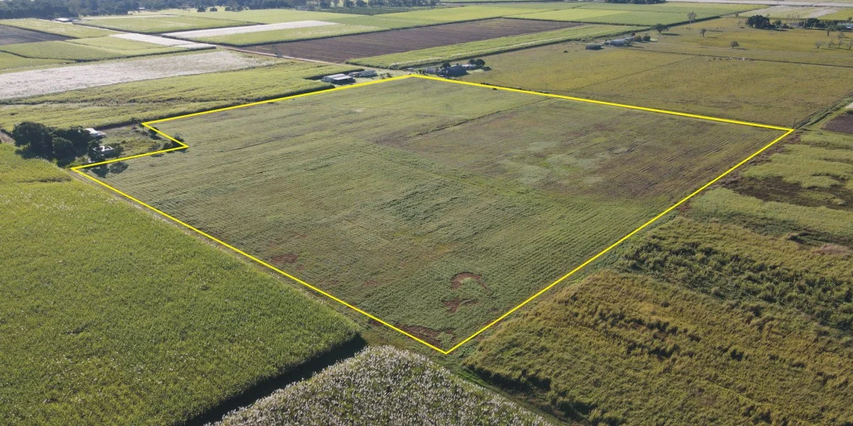 Additional image 6 of 61 Mancuso's Road, Lannercost QLD 4850