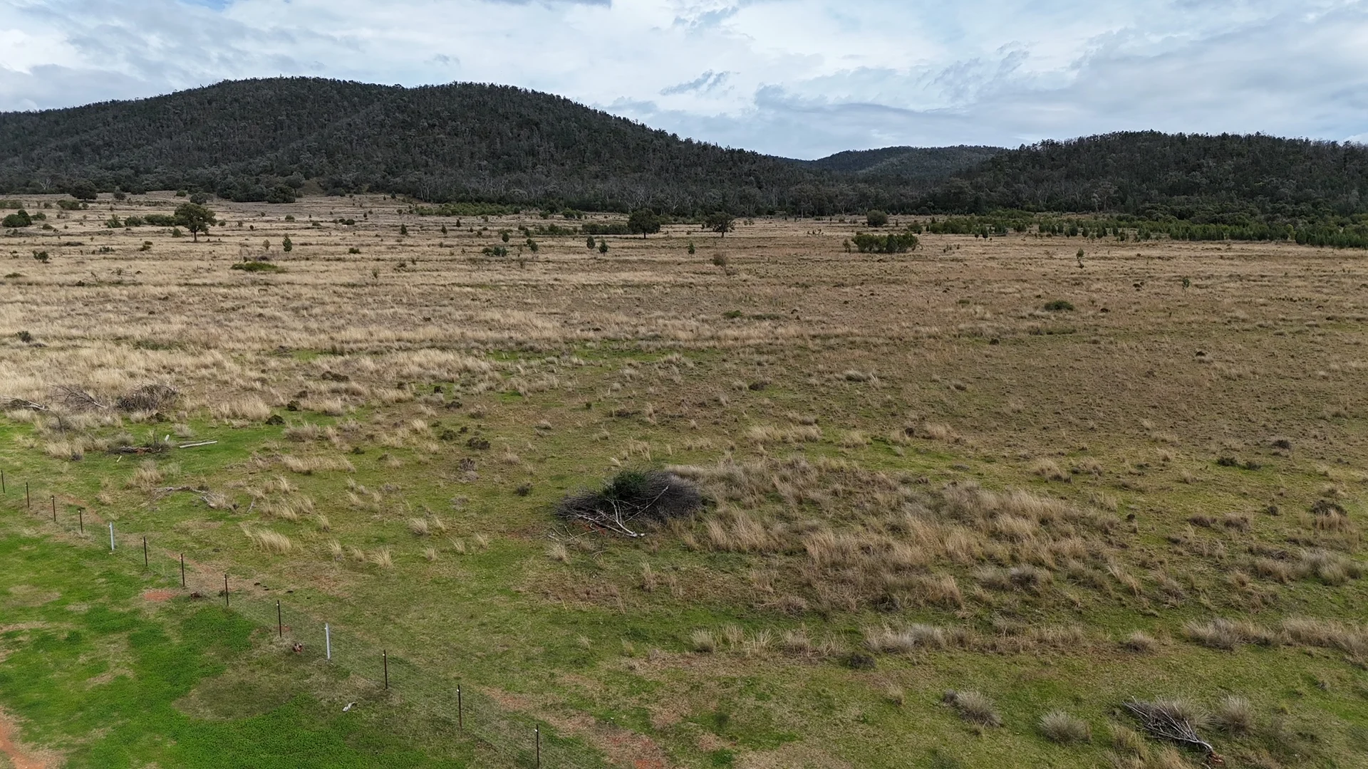 Additional image 15 of The Wilgas Cobbadah Road, Bingara NSW 2404