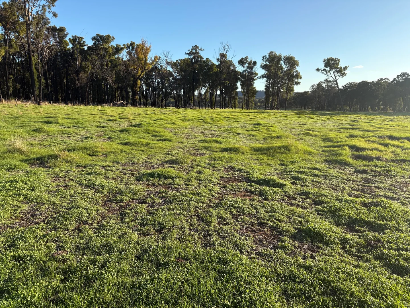 Additional image 3 of Lot 245 & Donnybrook-Boyup Brook Road, Glen Mervyn WA 6239