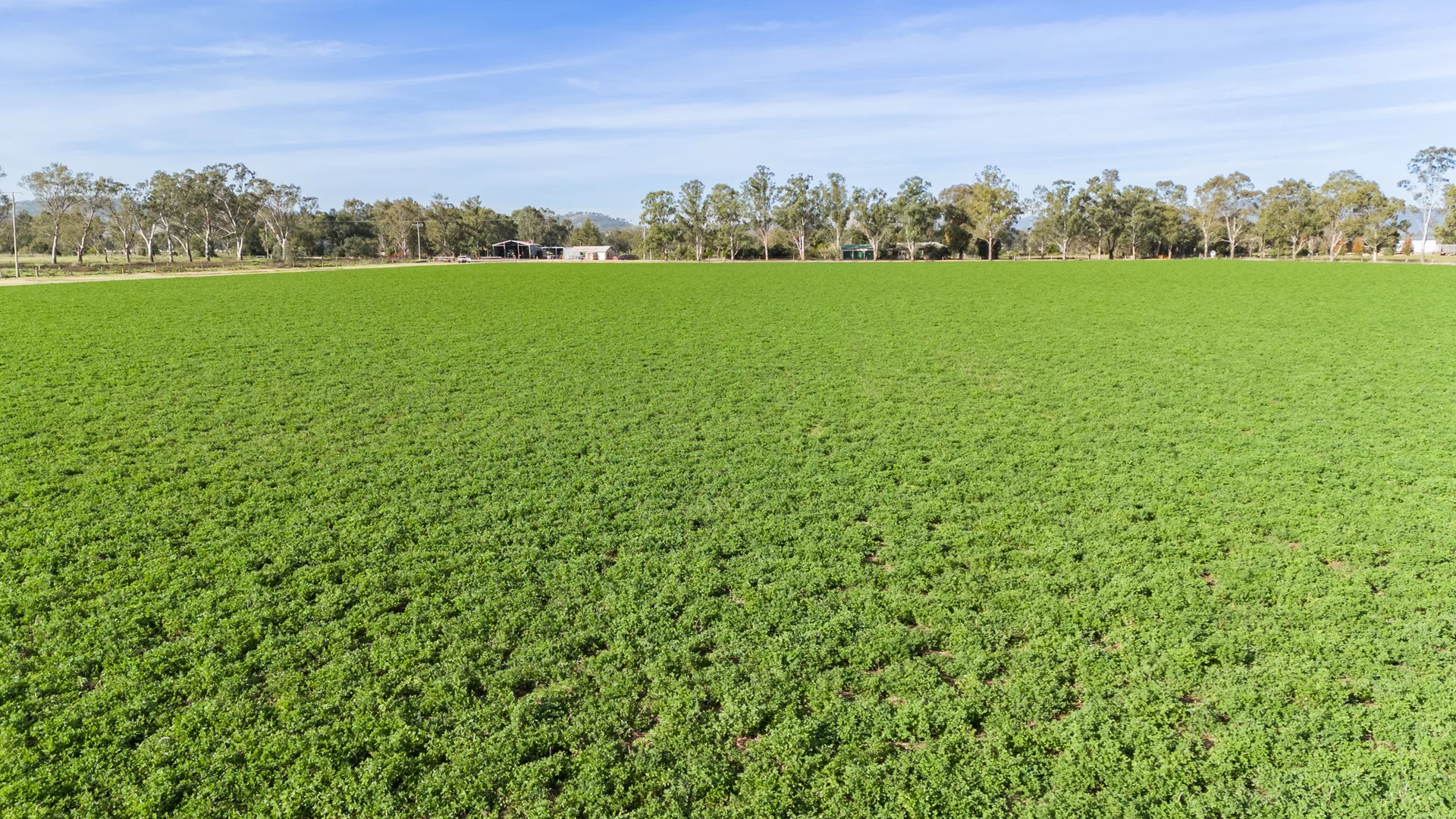 Additional image 27 of 'Billaroy' 395 Turanville Rd, Scone NSW 2337