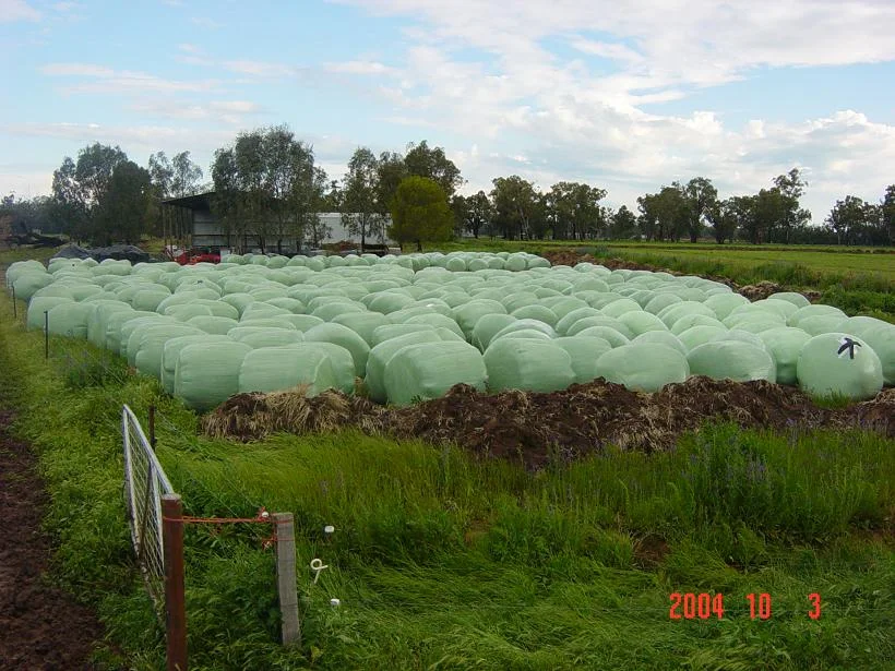 Additional image 6 of 10690 The Escort Way, Forbes NSW 2871