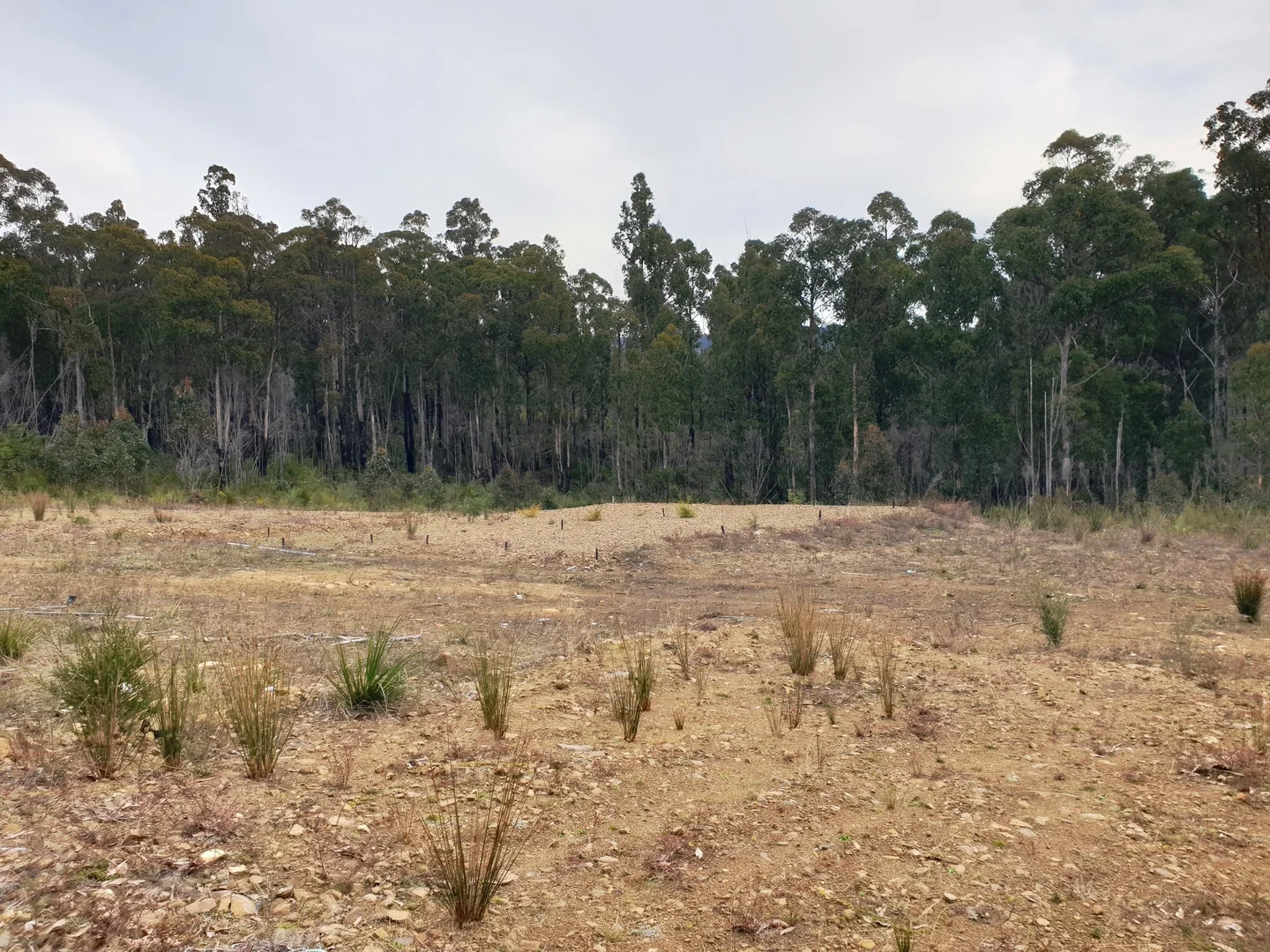 Additional image 6 of Lot 3 Costains Road, Geeveston TAS 7116