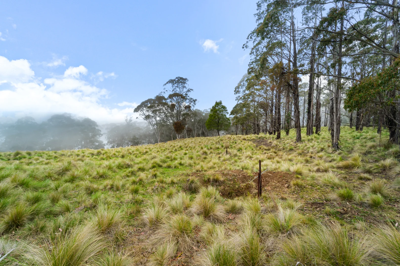Additional image 9 of Lot 26 Big Jack Mountain Road, Cathcart NSW 2632