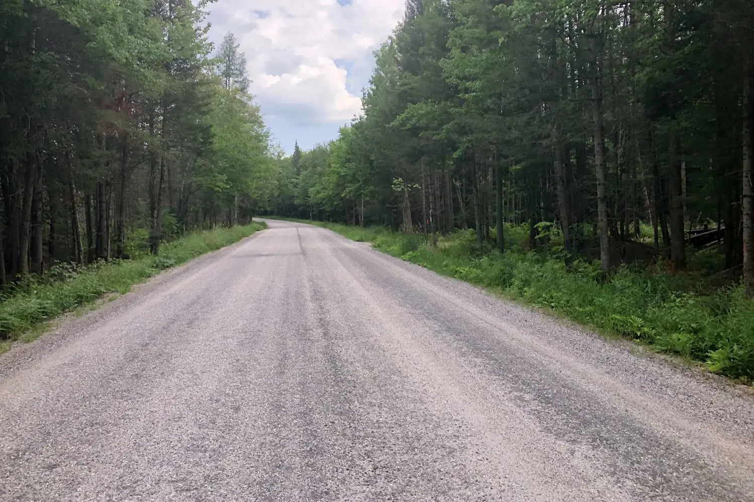 Additional image 7 of 522 Albert Street