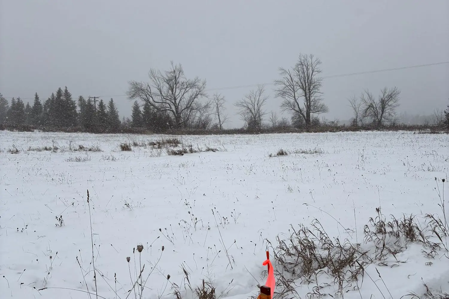 Additional image 5 of 0 Douro Third Line