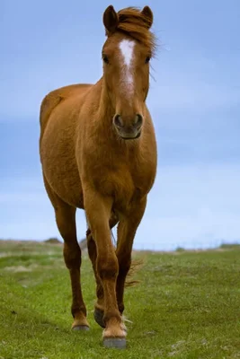 Additional image 7 of 600 Wirreanda Road, Wamboin NSW 2620