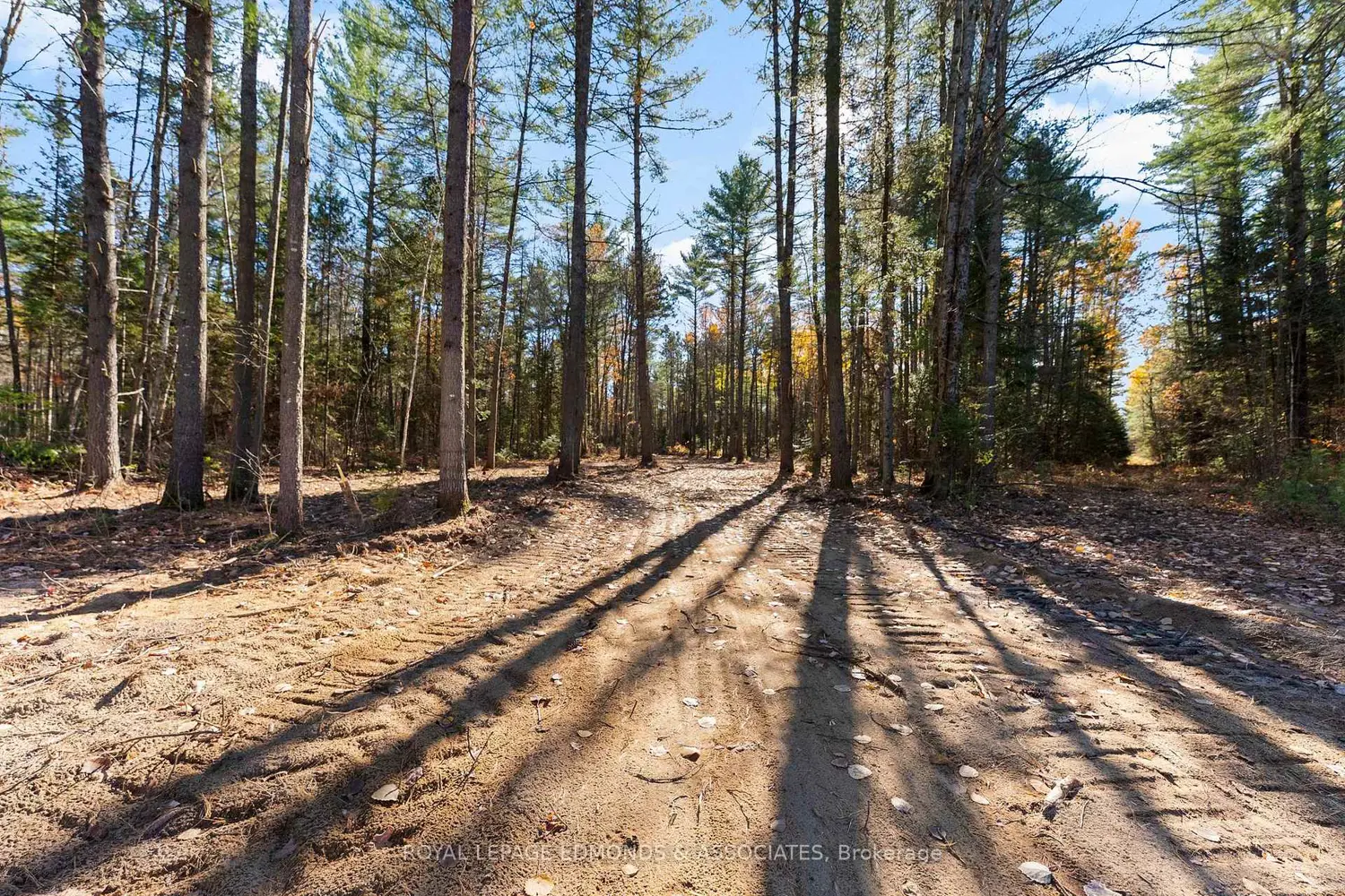 Additional image 6 of 100 Nangor Trail