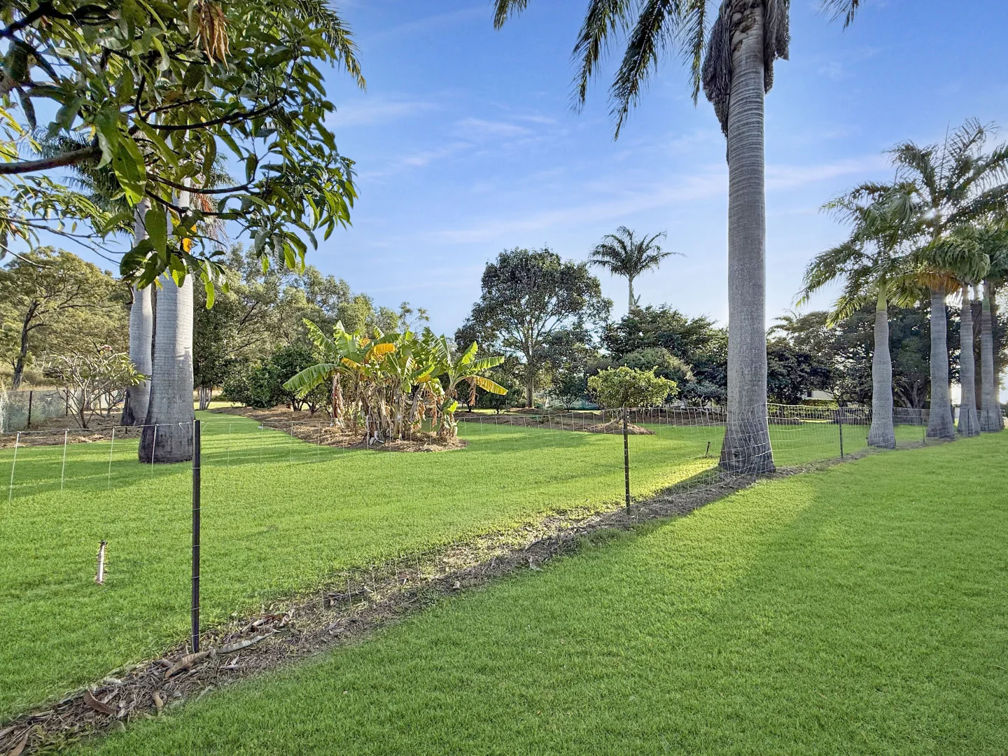 Additional image 40 of 362 Springmount Road, Mutchilba QLD 4872