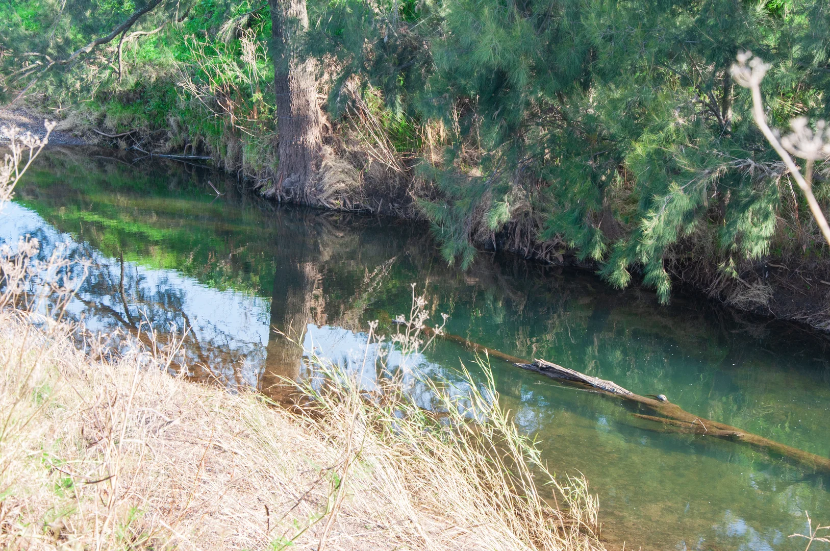 Additional image 24 of 'Billaroy' 395 Turanville Rd, Scone NSW 2337