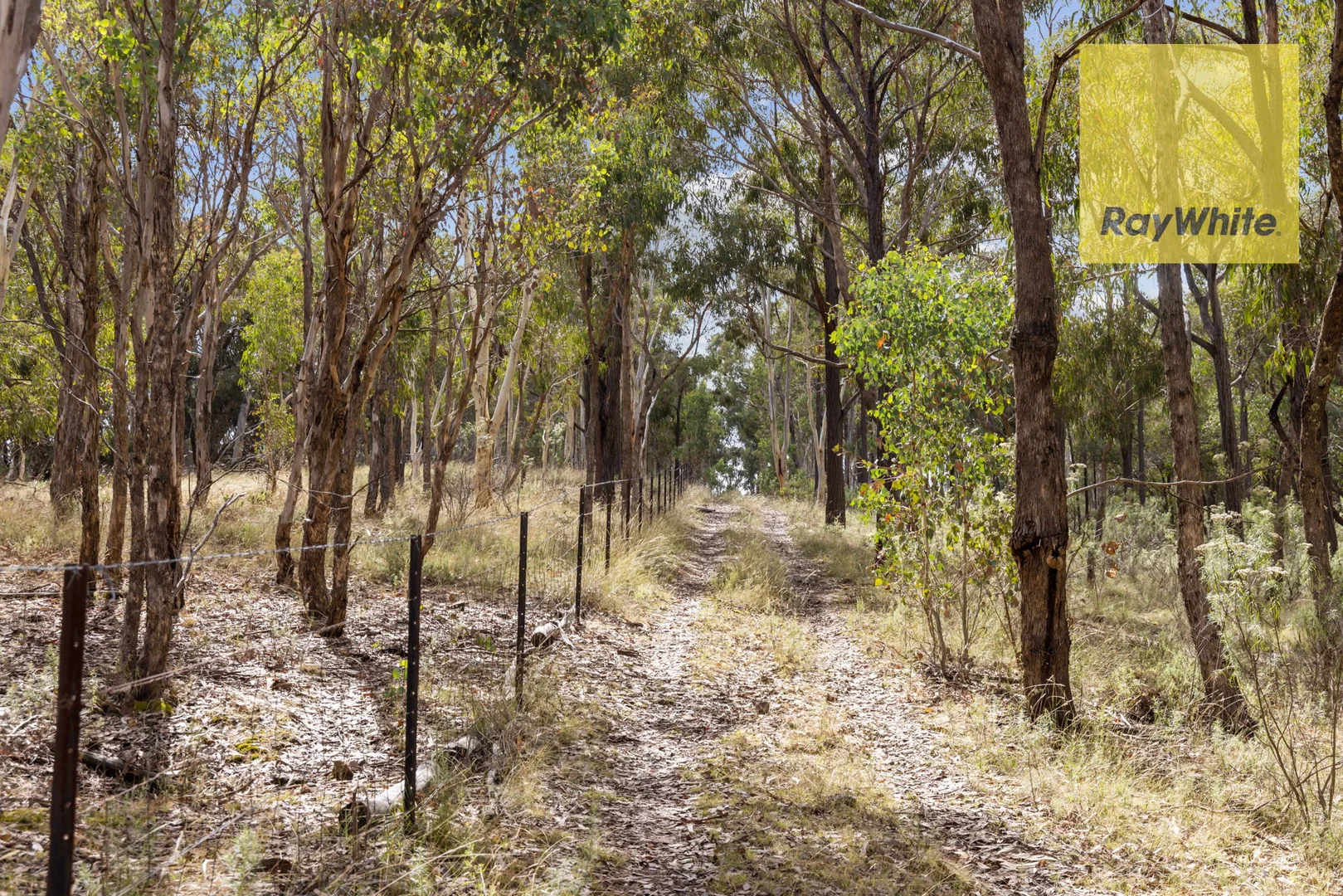 Additional image 10 of 1013 Bigga Road, Crooked Corner NSW 2583