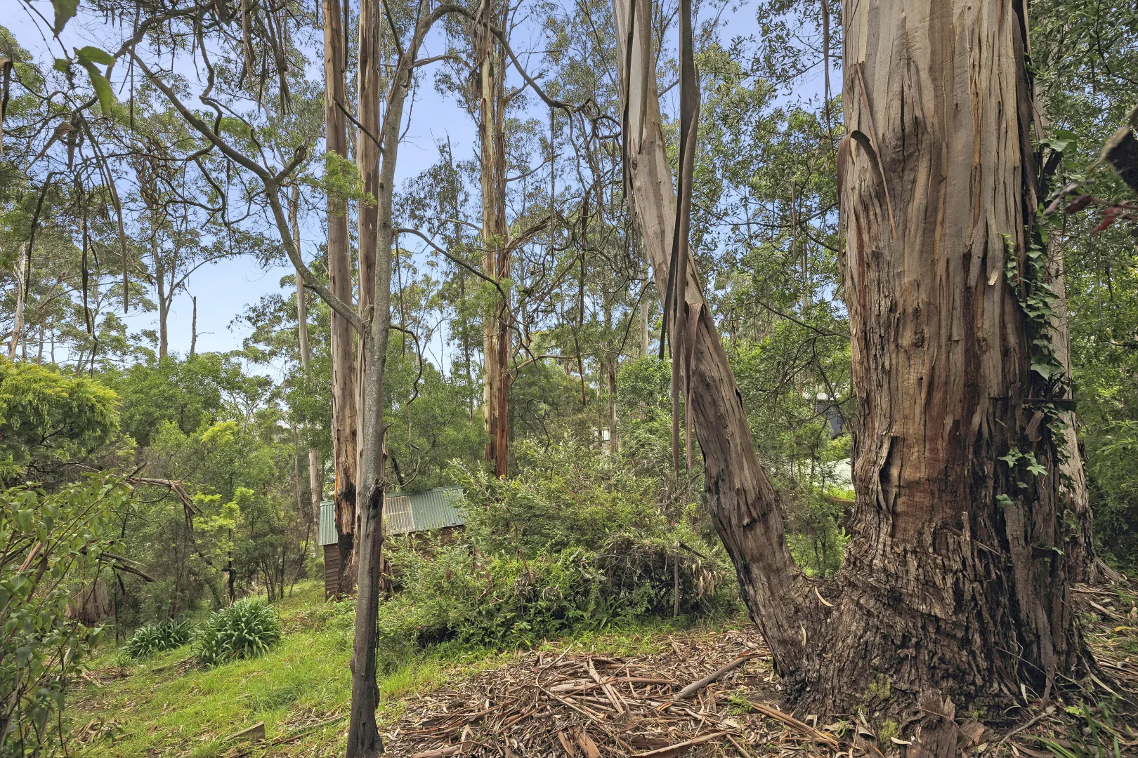 Additional image 2 of 6 Karingal Drive, Wye River VIC 3234