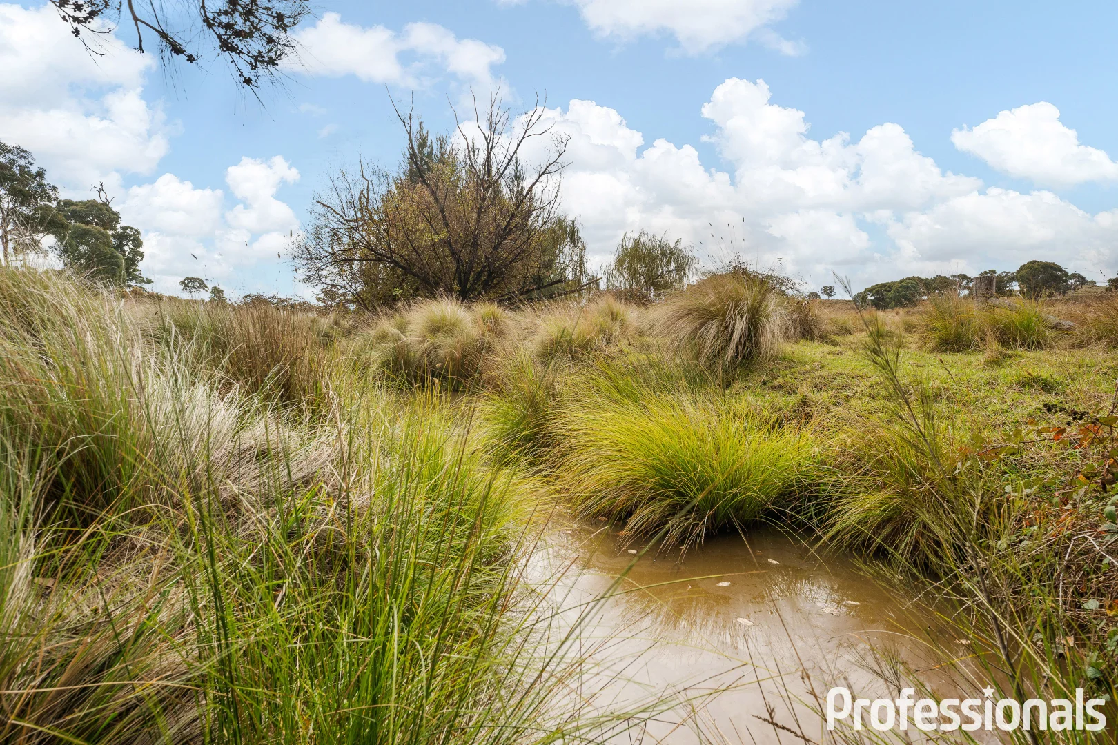 Additional image 28 of 2042 Hill End Road, Sallys Flat NSW 2850