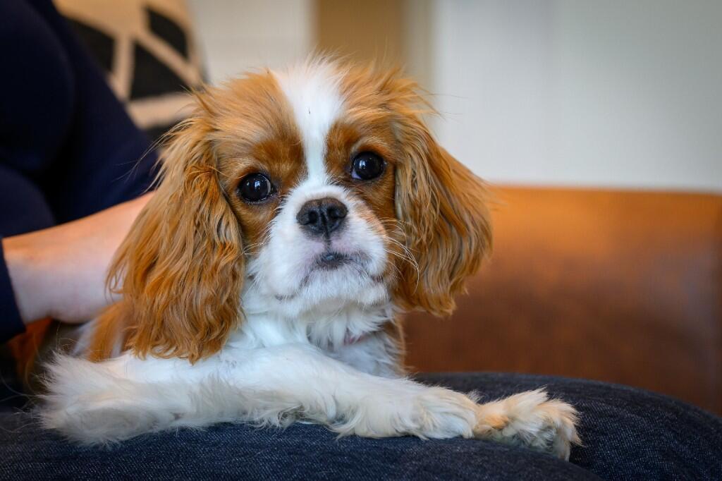 Additional image 9 of Belmont Row,
Birmingham,
B47RQ