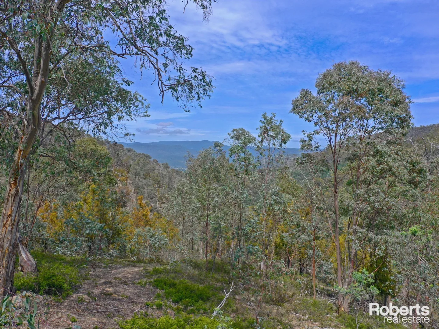 Additional image 5 of 869 Back River Road, Magra TAS 7140