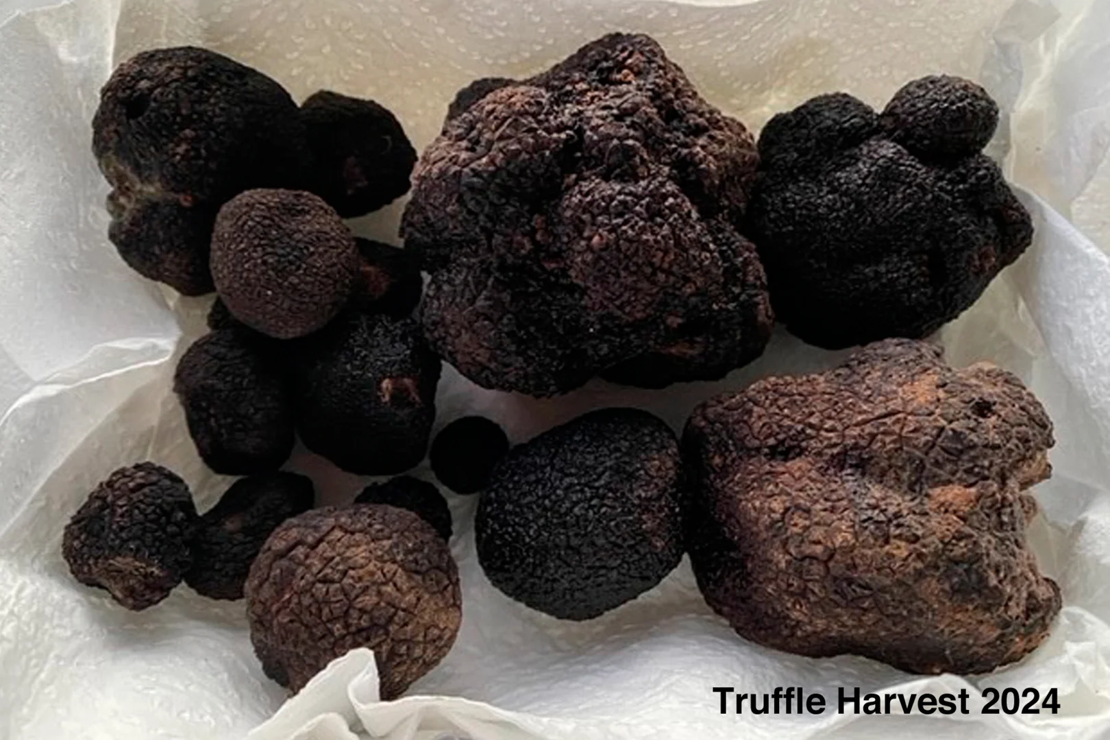 Additional image 22 of 679 Dallistons Road, Barfold VIC 3444