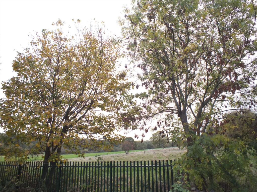 Additional image 17 of Hayes Grove, Erdington