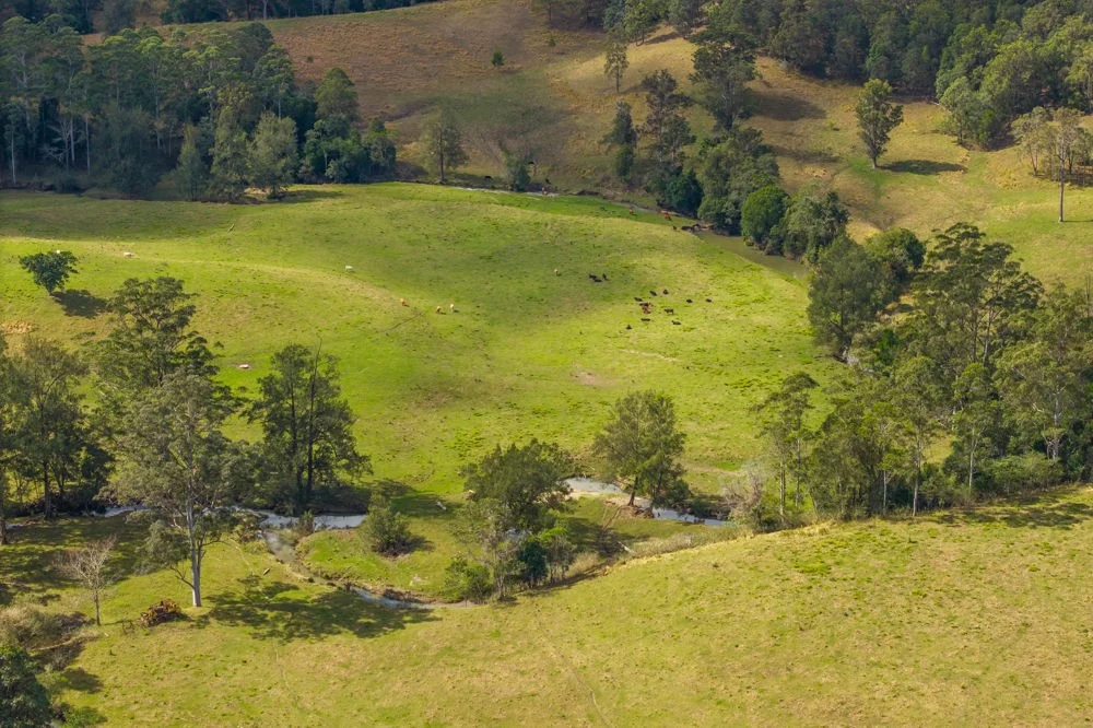 Additional image 11 of 3643 Taylors Arm Road, Burrapine NSW 2447