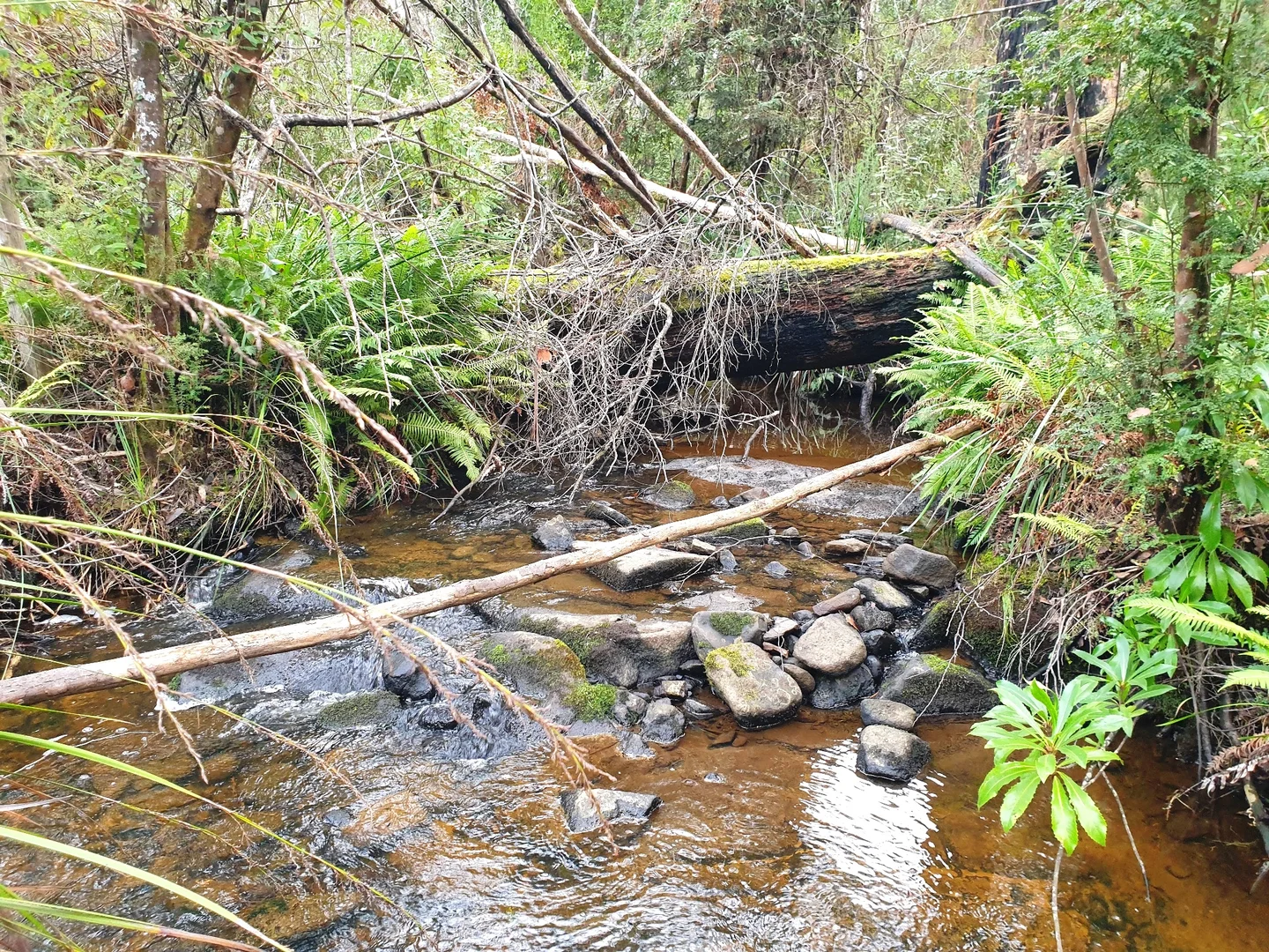 Additional image 7 of Lot 3 Costains Road, Geeveston TAS 7116