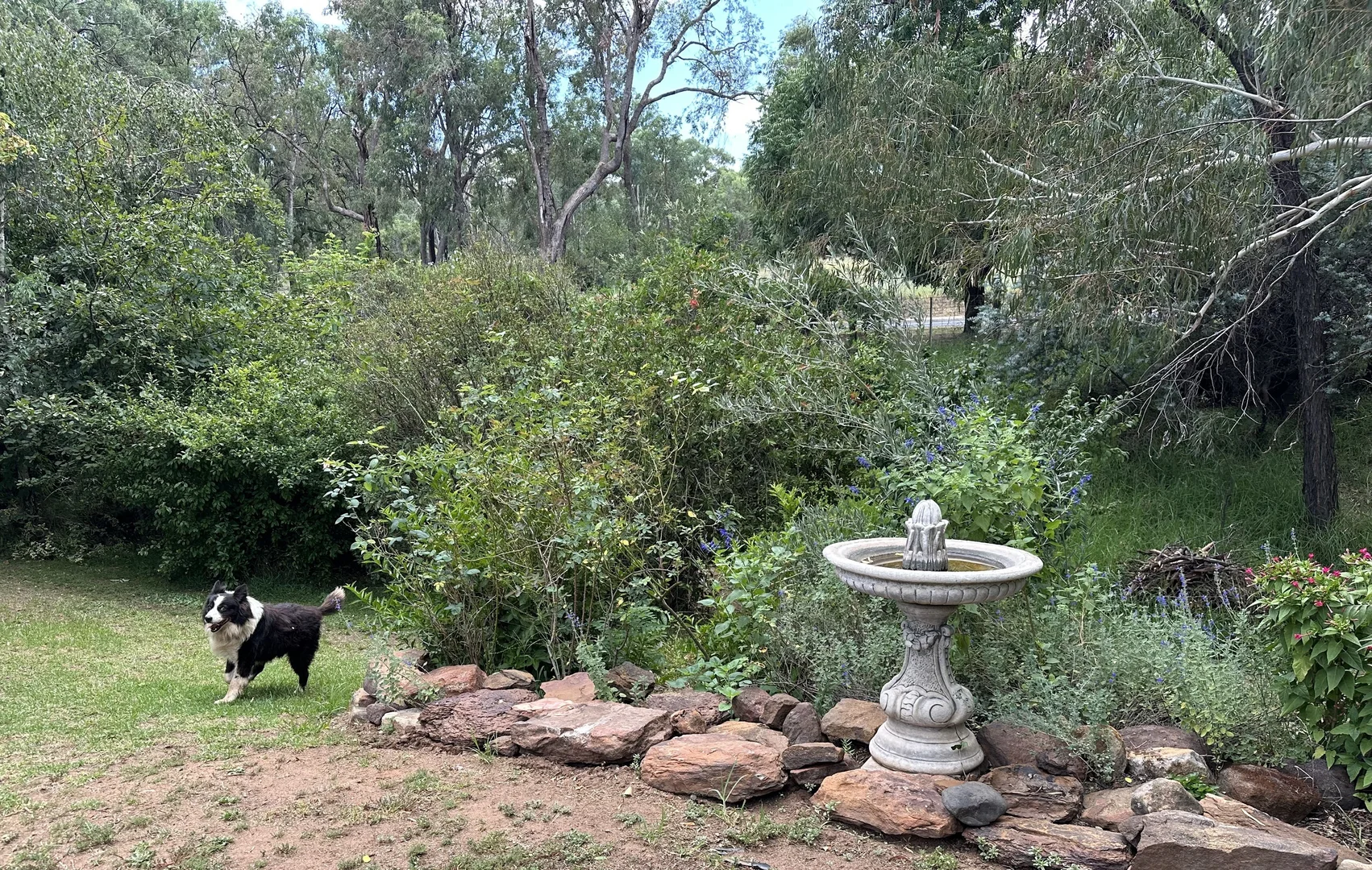 Additional image 35 of Cloudy Hill/82 Goddard Street, Coolah NSW 2843