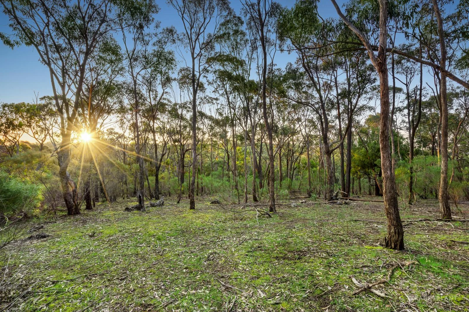 Additional image 4 of 210 Shaws Road, Cottles Bridge VIC 3099