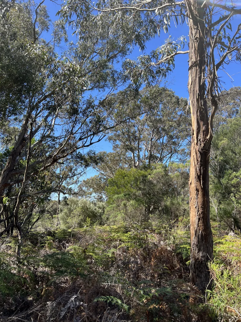 Additional image 8 of PID 6423792 Fairhaven Road, Memana TAS 7255