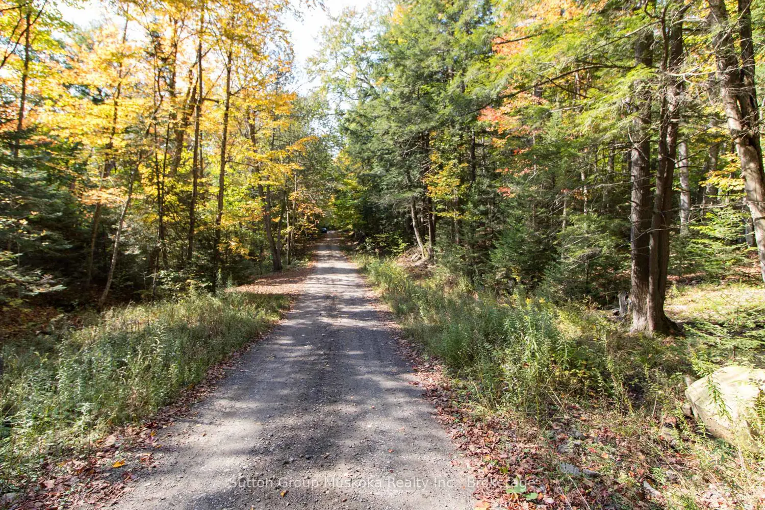 Additional image 4 of 0 Lynx Lake Road