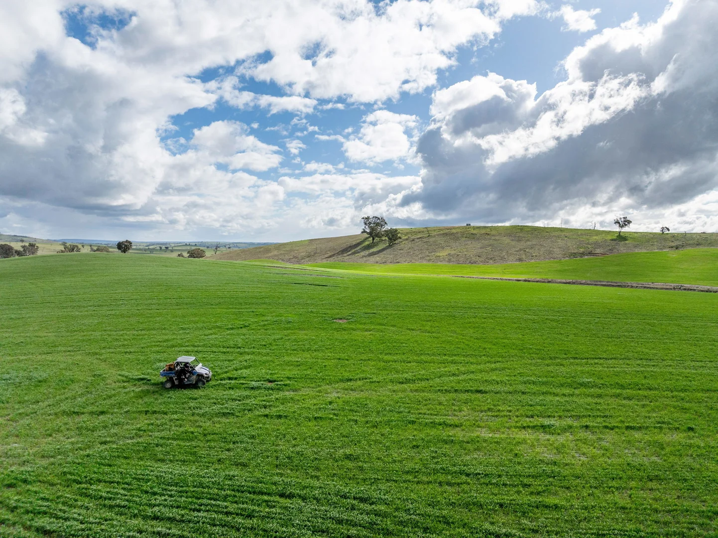 Additional image 6 of 'Darmody's', 969 Brial Rd, Boorowa NSW 2586