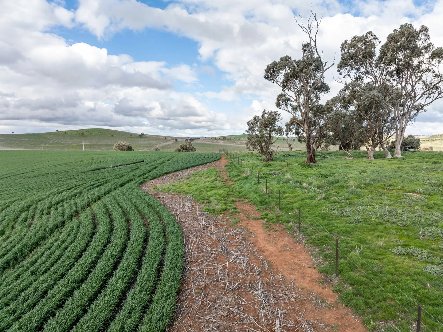 Additional image 24 of 'Darmody's', 969 Brial Rd, Boorowa NSW 2586