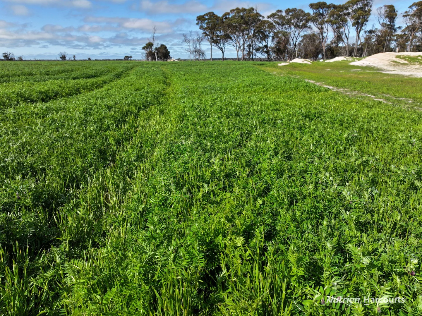 Additional image 5 of 1630 Mindarabin Road, Mindarabin WA 6336