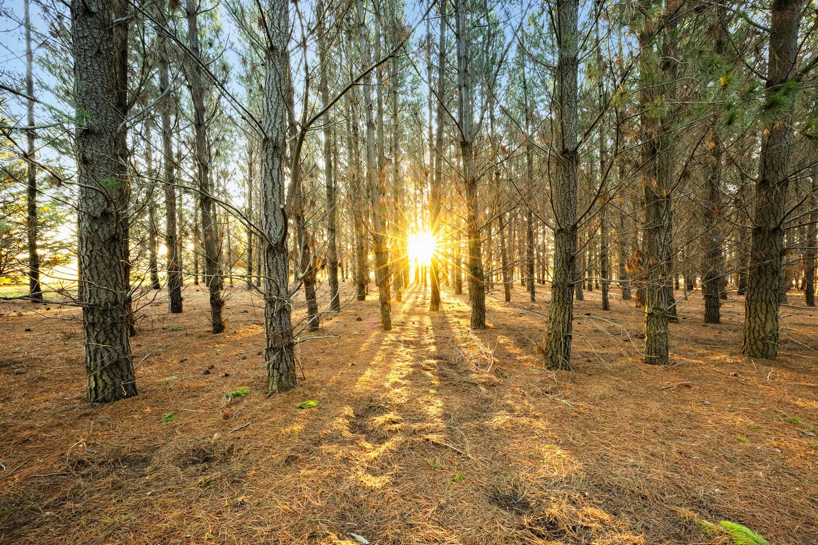 Additional image 34 of 140 Palmer Road, Sunbury VIC 3429